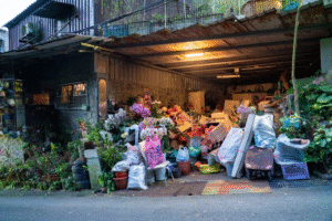 Cluttered garage filled with junk, plants, and trash bags