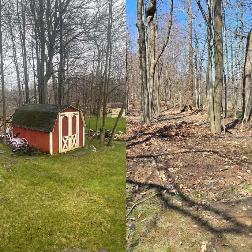 Before and after shed removal in Maple Heights, showing an old shed replaced with clear yard space.