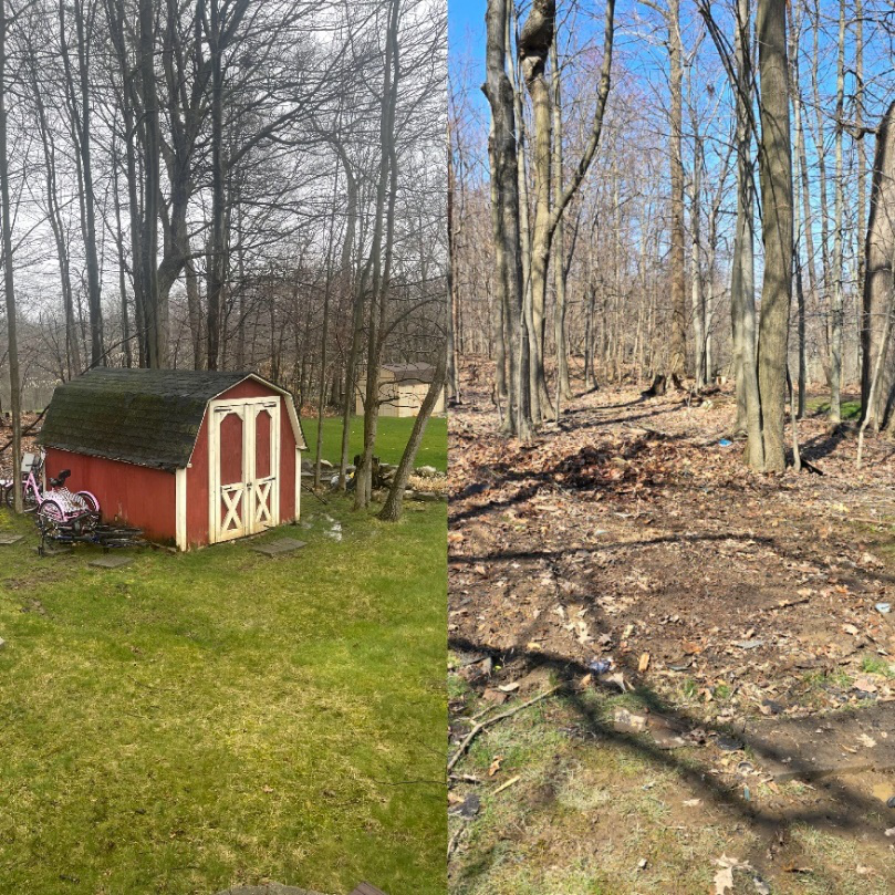 A before-and-after image shed removal by AMG Junk Removal.